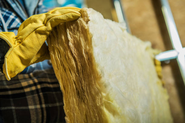 Best Insulation Repair Services  in Troutman, NC
