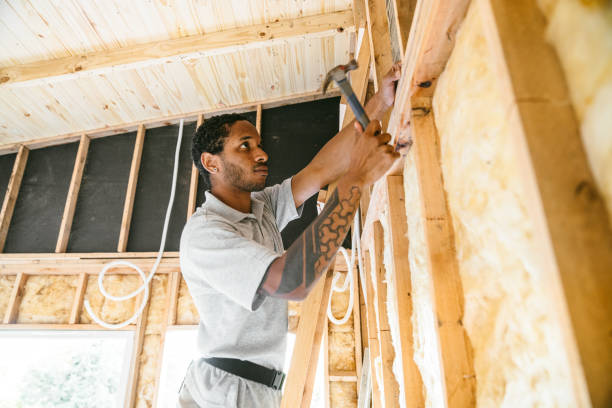 Best Insulation Contractors for Homes  in Troutman, NC